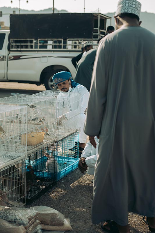 Skupina ománců prohlíží malé ptactvo v klecích