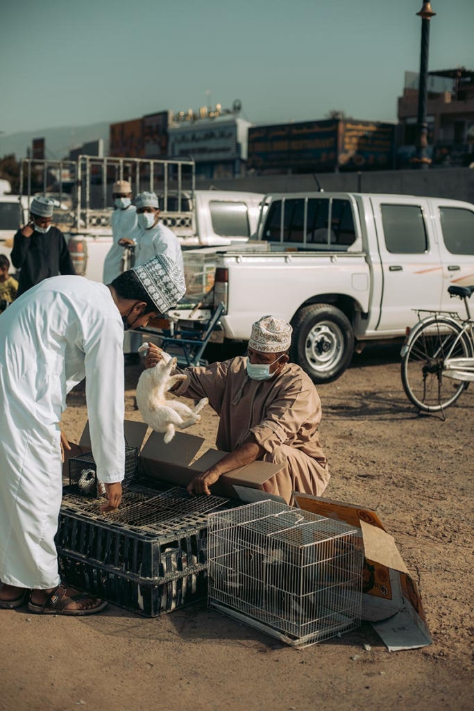 Ománský farmář vytahuje králíka z klece, aby si jej zákazník kozího trhu v Nizwě mohl dobře prohlédnout