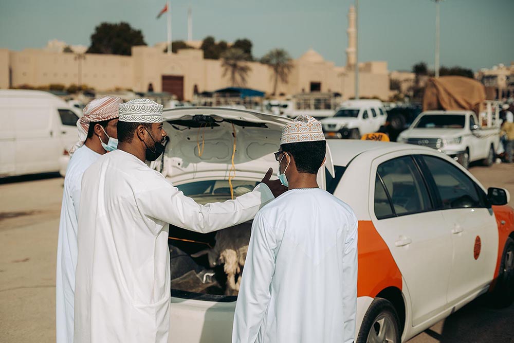 Ománský taxikář připravující kozu k převozu v kufru svého sedanu